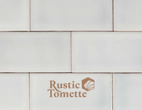 Faïence unie rustique couleur Blanc Mat 100